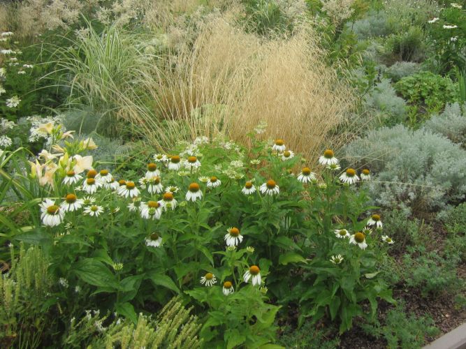 Gärtner Gartenbau Grabpflege Osnabrück